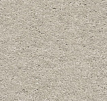 Ковролин AW Invictus Heroicus 05 фото 1 | FLOORDEALER